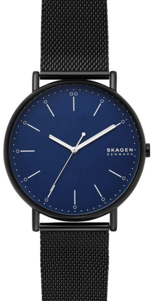 

Часы SKAGEN SKW6529