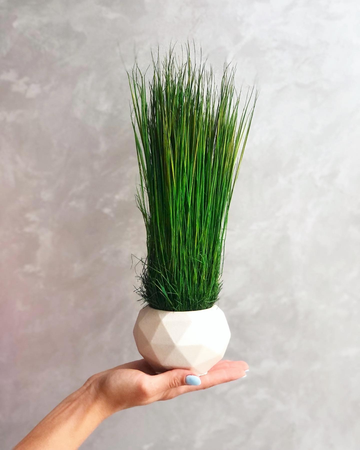 

Гипсовое кашпо MiNature Moss со стабилизированой травой Фестука