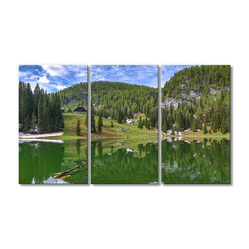 

Модульная картина Artel «Горный пейзаж ели и озеро» 3 модуля 70x105 см