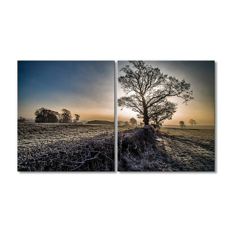 

Модульная картина Artel «Дерево и поле в инее» 2 модуля 70x105 см