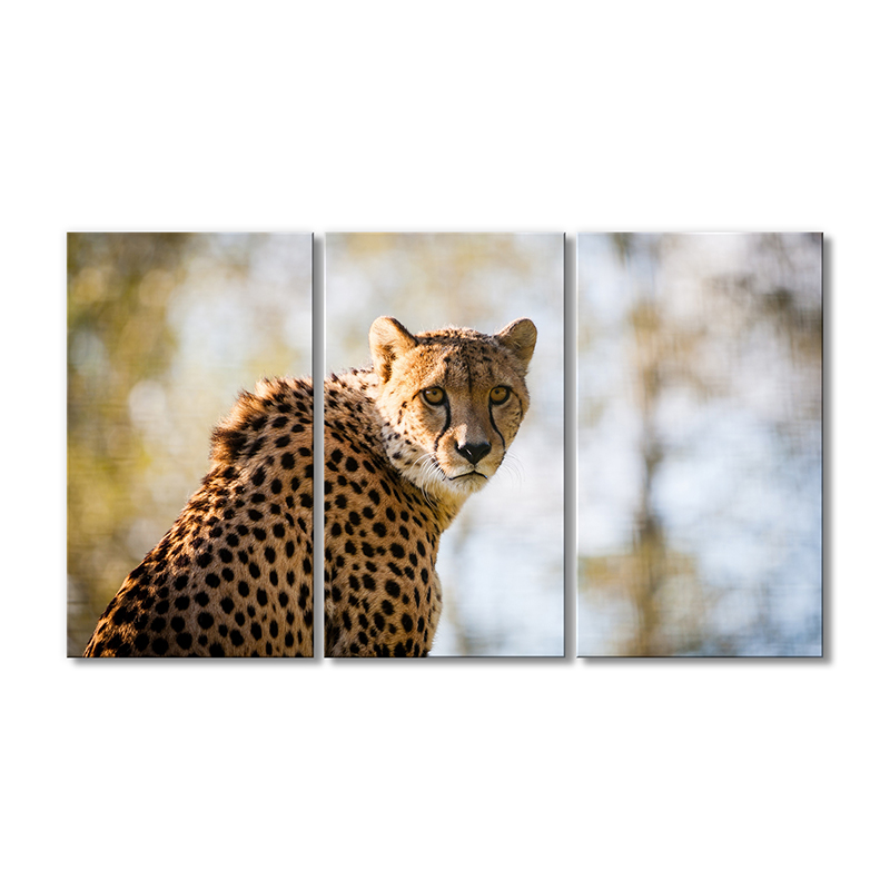 

Модульная картина Artel «Гепард» 3 модуля 70x105 см