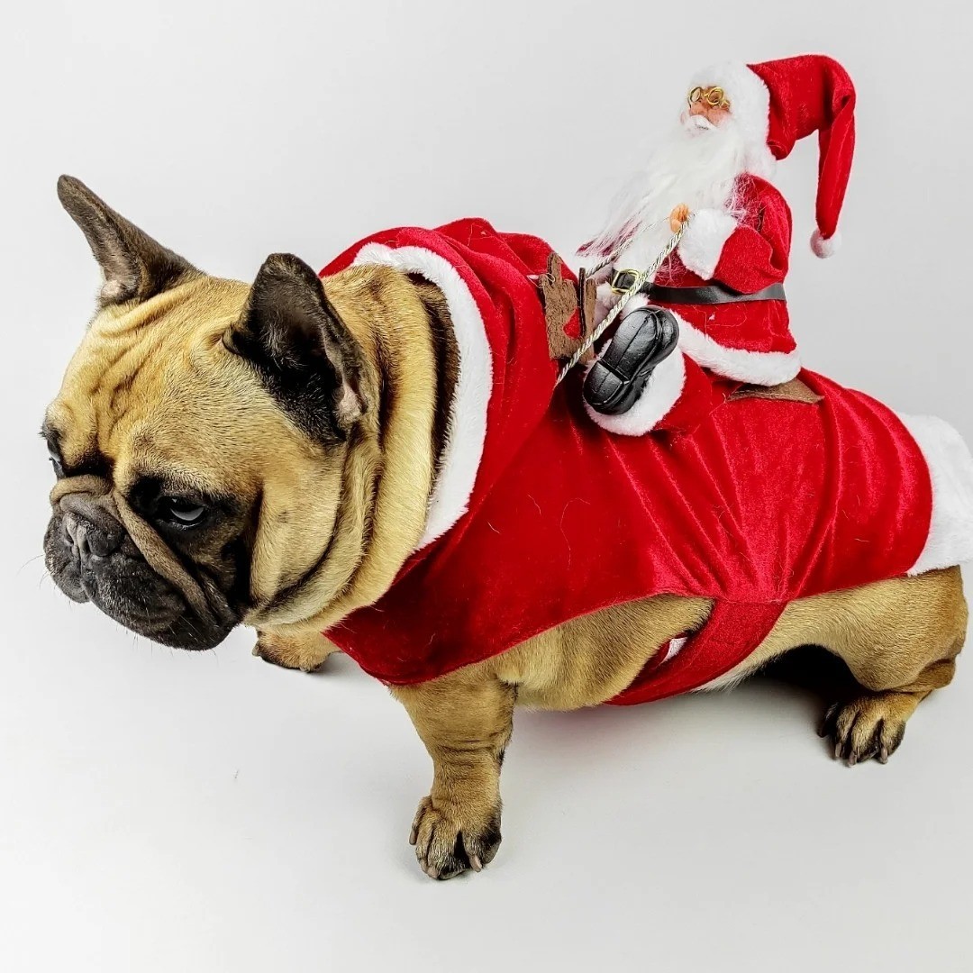 

Новогодний костюм для собак DogClub S Santa