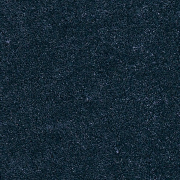 

Ковролин AW Anastasia 77 Синий ширина 4 м за м2 (1326d3509w75)