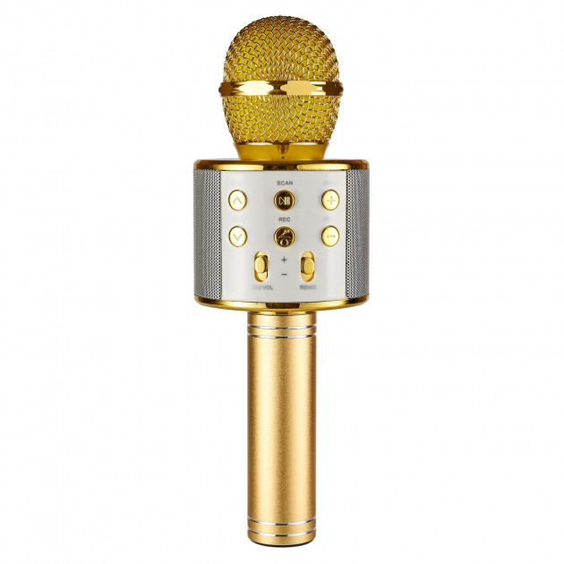 

Беспроводной bluetooth караоке микрофон WSTER 858 Gold TAIV