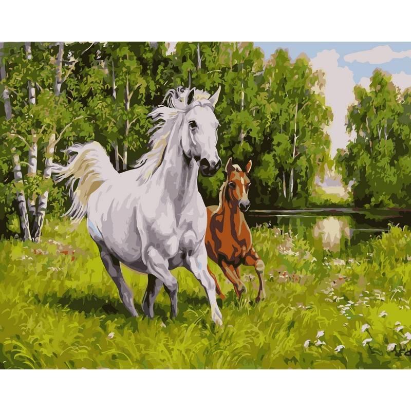 

Картина рисование по номерам Babylon На воле. Худ. Елена Самарская 40х50см VP131 набор для росписи, краски, кисти, холст