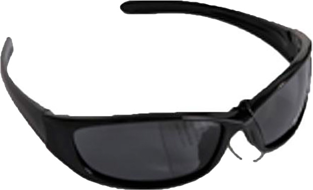 

Очки Salmo 15 Black (S-2515)