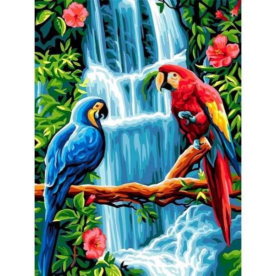 

Картина по номерам VK251 Пара попугаев, 30x40 см., Babylon