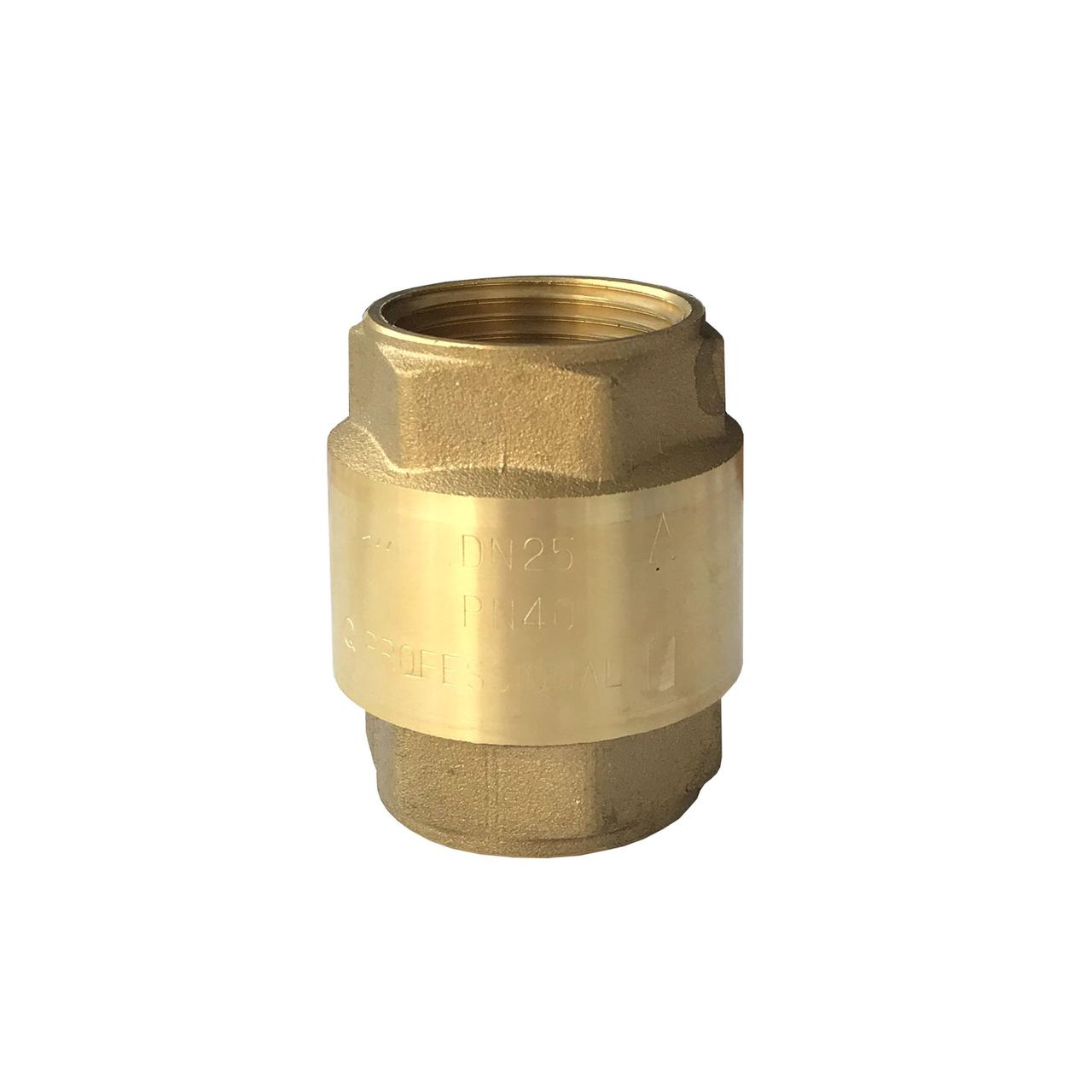 

Клапан обратного хода воды 1" QP100 Professional (000014113)
