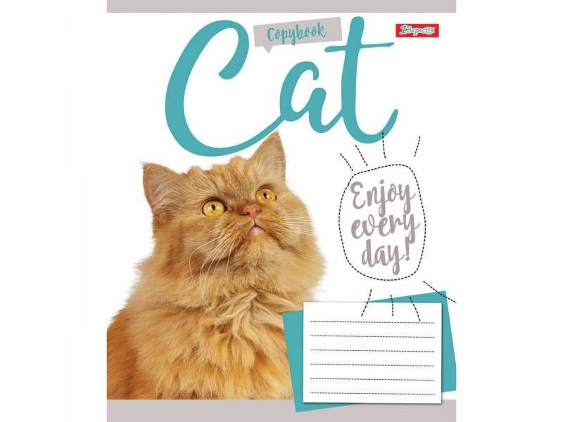 

Тетрадь .1Вересня 24л. кл CAT (ДОМАШНИЕ ЛЮБИМЦЫ) (20шт.) 1ВЕРЕСНЯ