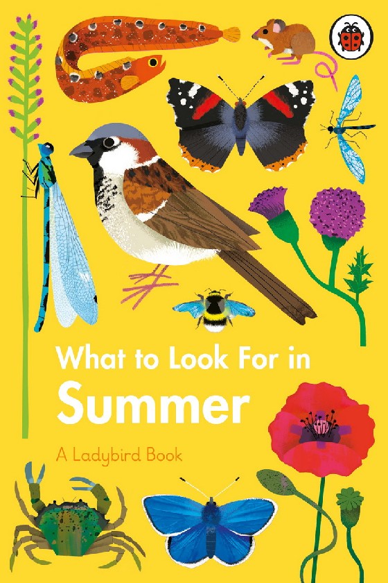 

What to Look For in Summer