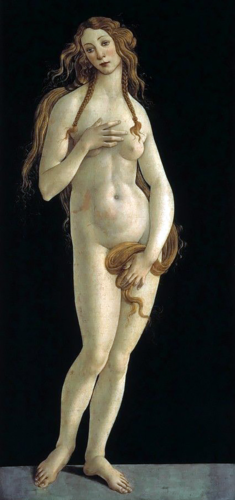 

Набор алмазной вышивки "Венера". Художник Sandro Botticelli