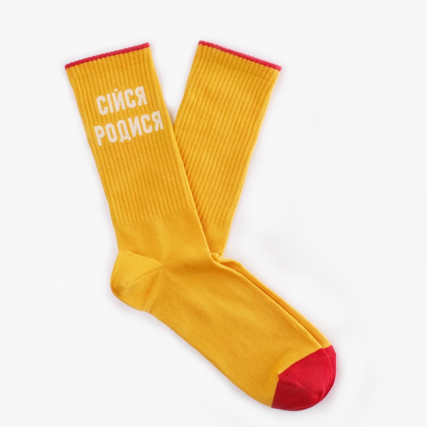 

Пара шкарпеток Dodo Socks Сійся Родися, Пара шкарпеток Dodo Socks Сійся Родися 39-41