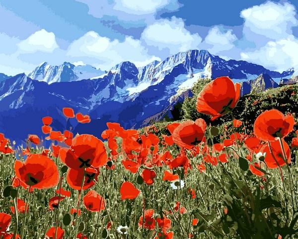 

Картина по номерам Q2224 Поле маков, 40x50 см., Mariposa