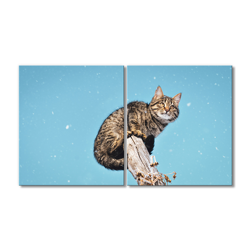 

Модульная картина Artel «Кот на верхотуре» 2 модуля 80x120 см