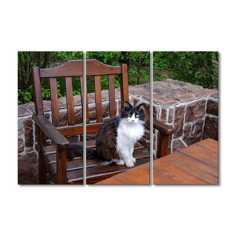 

Модульная картина Artel «Кот на стуле» 3 модуля 50x75 см