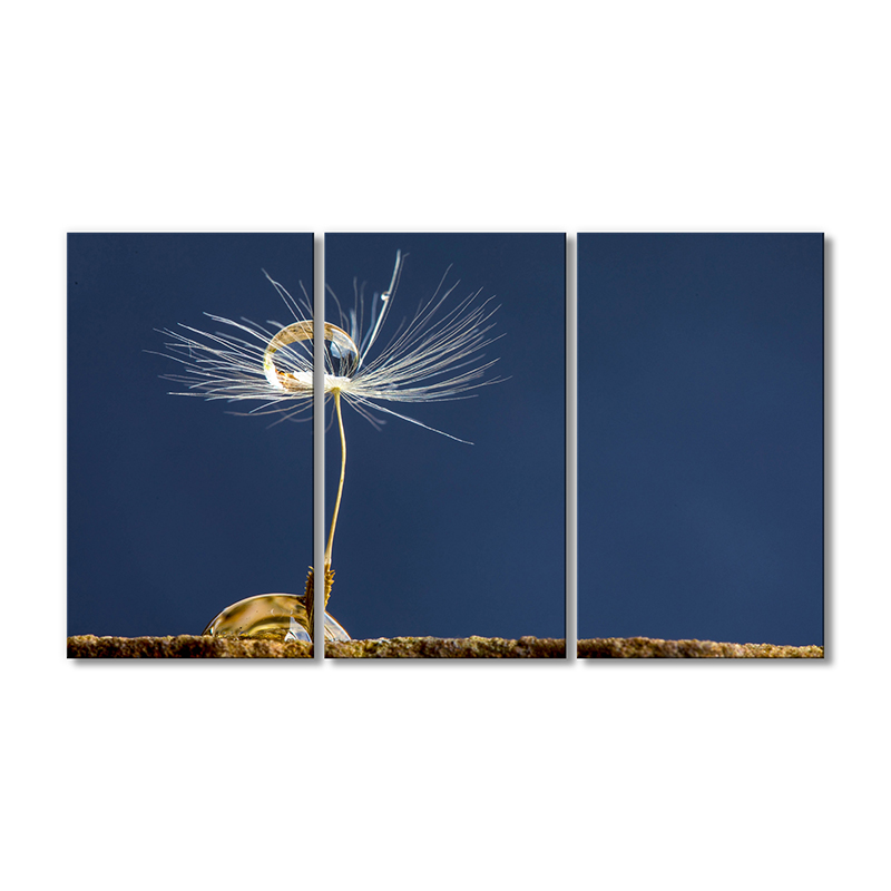 

Модульная картина Artel «Капля воды на одуванчике» 3 модуля 120x180 см