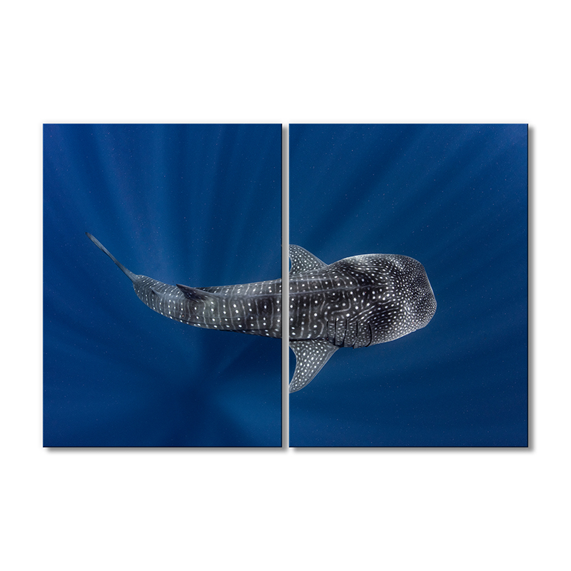 

Модульная картина Artel «Китовая акула» 2 модуля 80x120 см