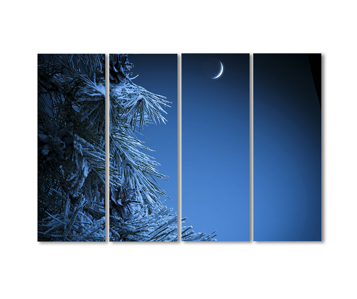 

Модульная картина Artel «Зимний месяц» 4 модуля 70x105 см