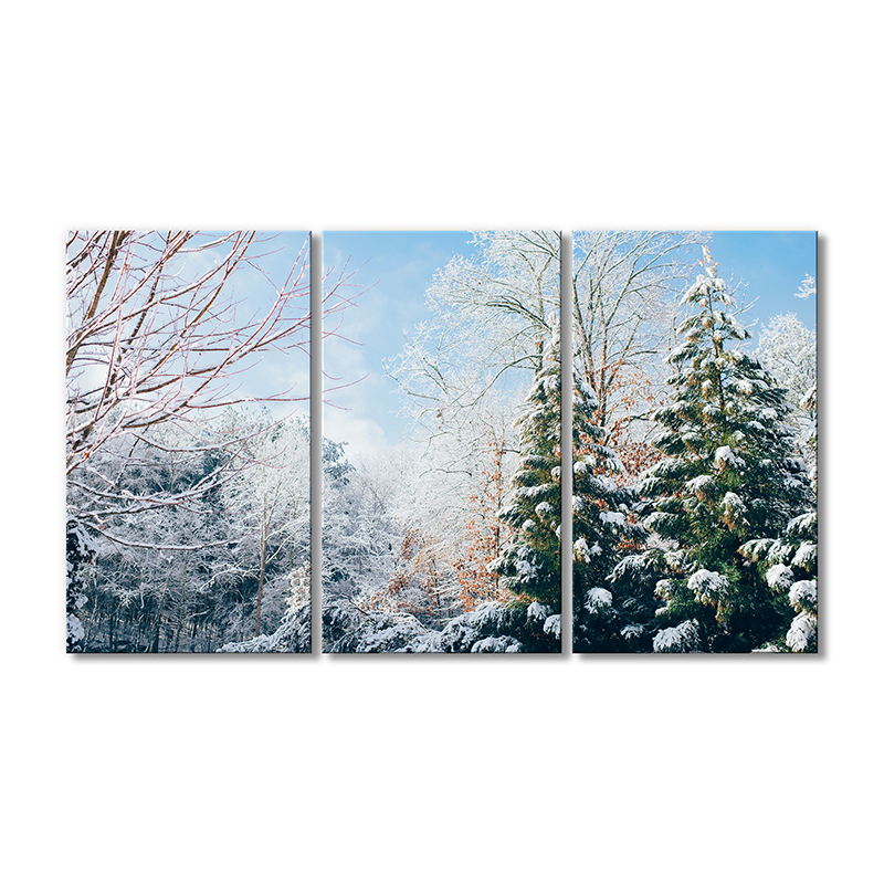 

Модульная картина Artel «Зимняя природа» 3 модуля 50x75 см