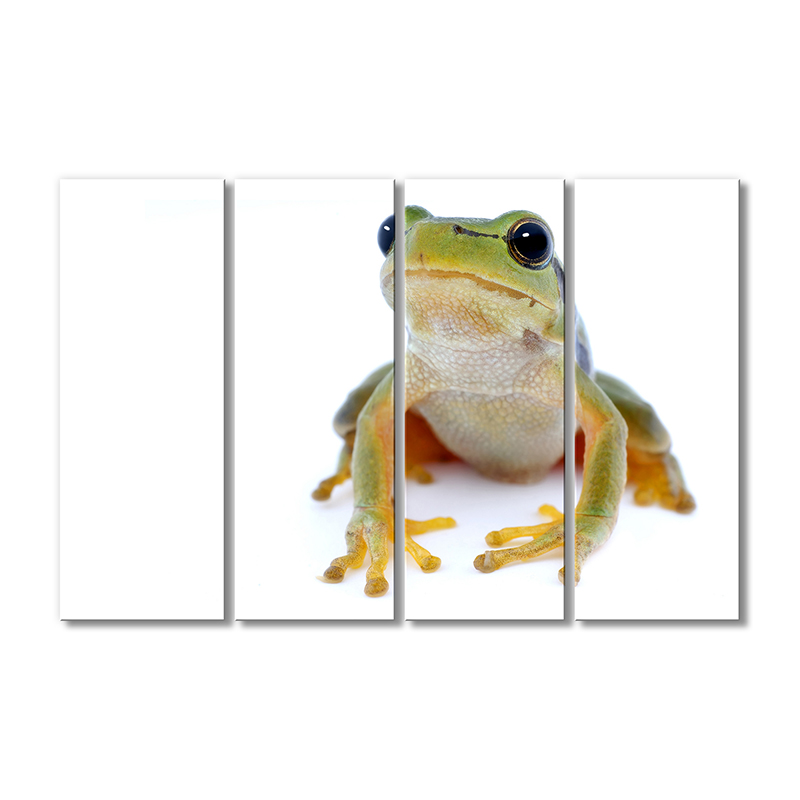 

Модульная картина Artel «Зеленая лягушка» 4 модуля 120x180 см