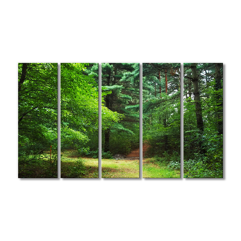 

Модульная картина Artel «Зеленые леса природы» 5 модулей 120x180 см