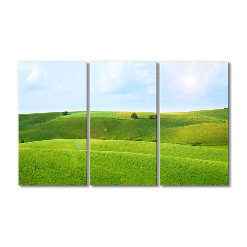 

Модульная картина Artel «Зеленые холмы» 3 модуля 90x135 см