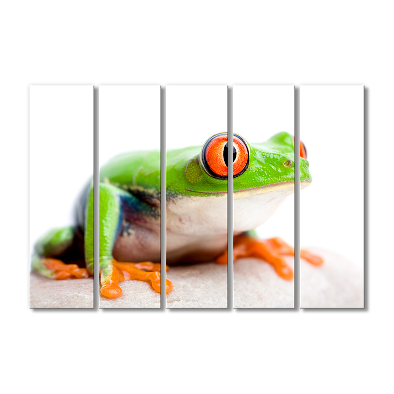 

Модульная картина Artel «Древесная лягушка» 5 модулей 90x135 см