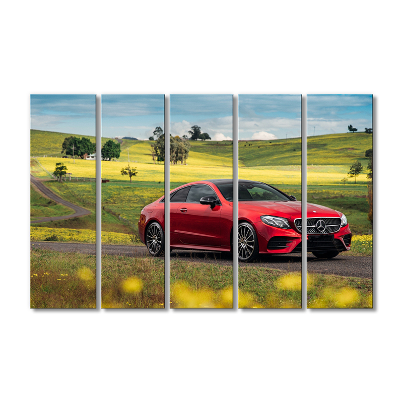 

Модульная картина Artel «Мерседес Бенц красный в поле» 5 модулей 90x135 см
