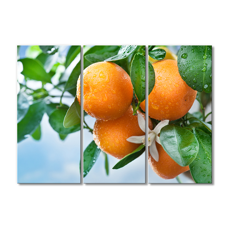 

Модульная картина Artel «Мандарины в утренней росе» 3 модуля 70x105 см