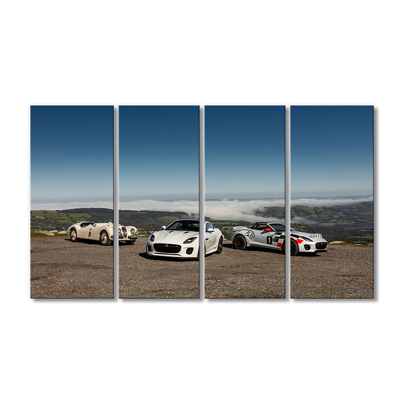 

Модульная картина Artel «Мировой раллийный автомобиль» 4 модуля 90x135 см