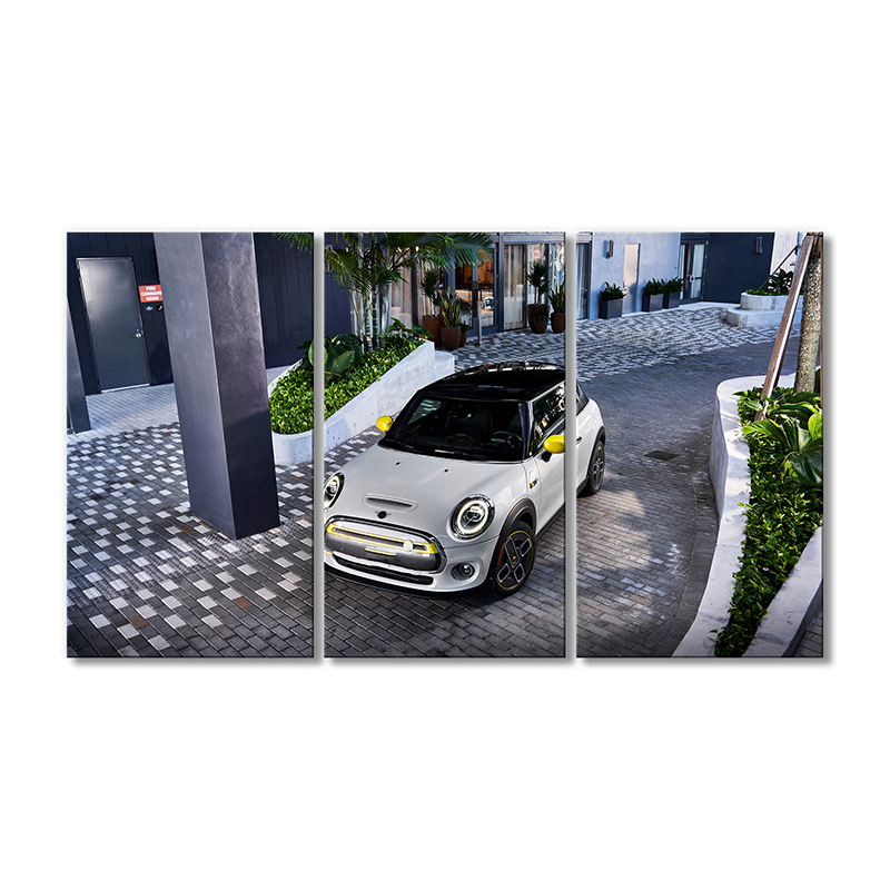 

Модульная картина Artel «Мини Электро автомобиль» 3 модуля 70x105 см