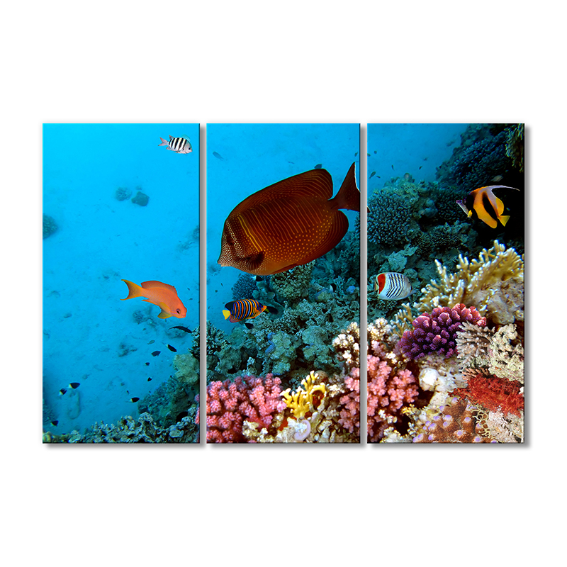 

Модульная картина Artel «Океанские жители» 3 модуля 90x135 см