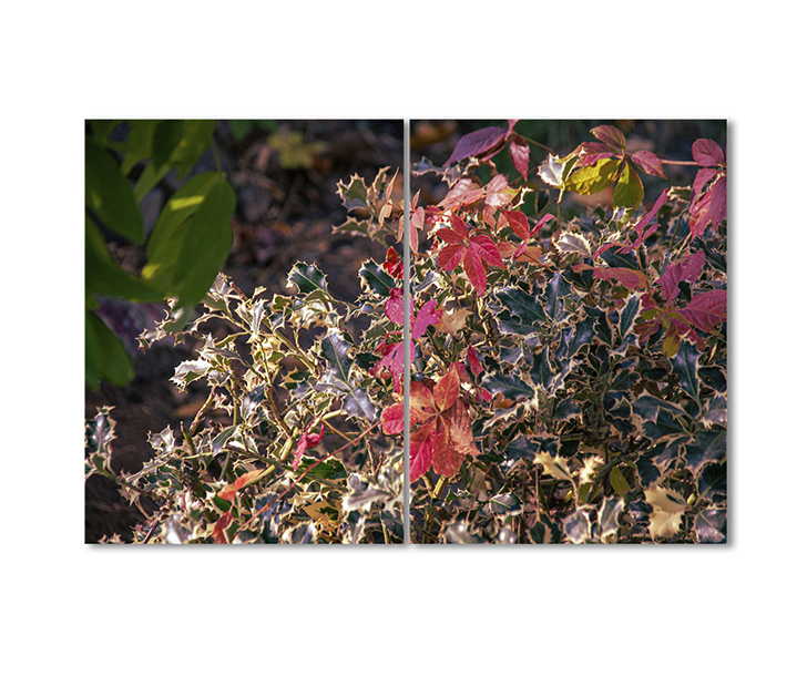 

Модульная картина Artel «Осенний куст» 2 модуля 80x120 см