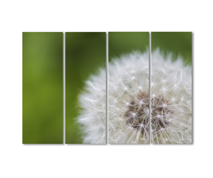 

Модульная картина Artel «Одуванчик» 4 модуля 70x105 см