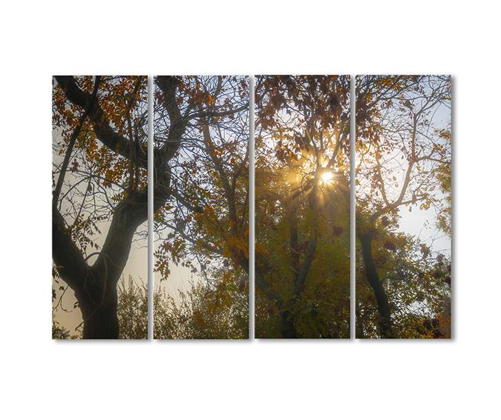

Модульная картина Artel «Осенние блики» 4 модуля 80x120 см