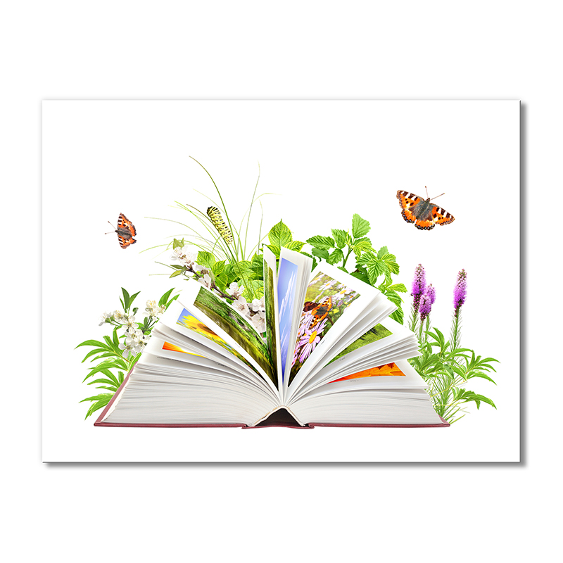 

Модульная картина Artel «Книга по ботанике» 1 модуль 70x105 см