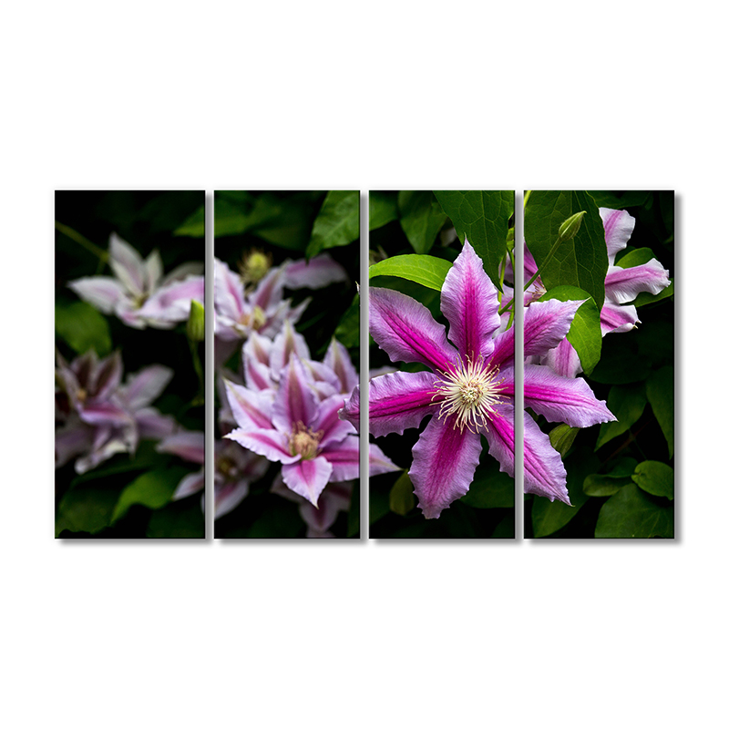 

Модульная картина Artel «Клематис розовый цветок» 4 модуля 60x90 см