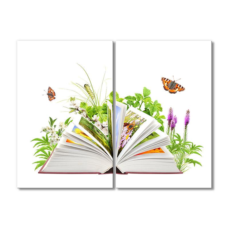 

Модульная картина Artel «Книга по ботанике» 2 модуля 60x90 см