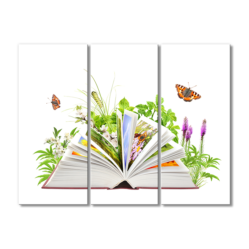 

Модульная картина Artel «Книга по ботанике» 3 модуля 120x180 см
