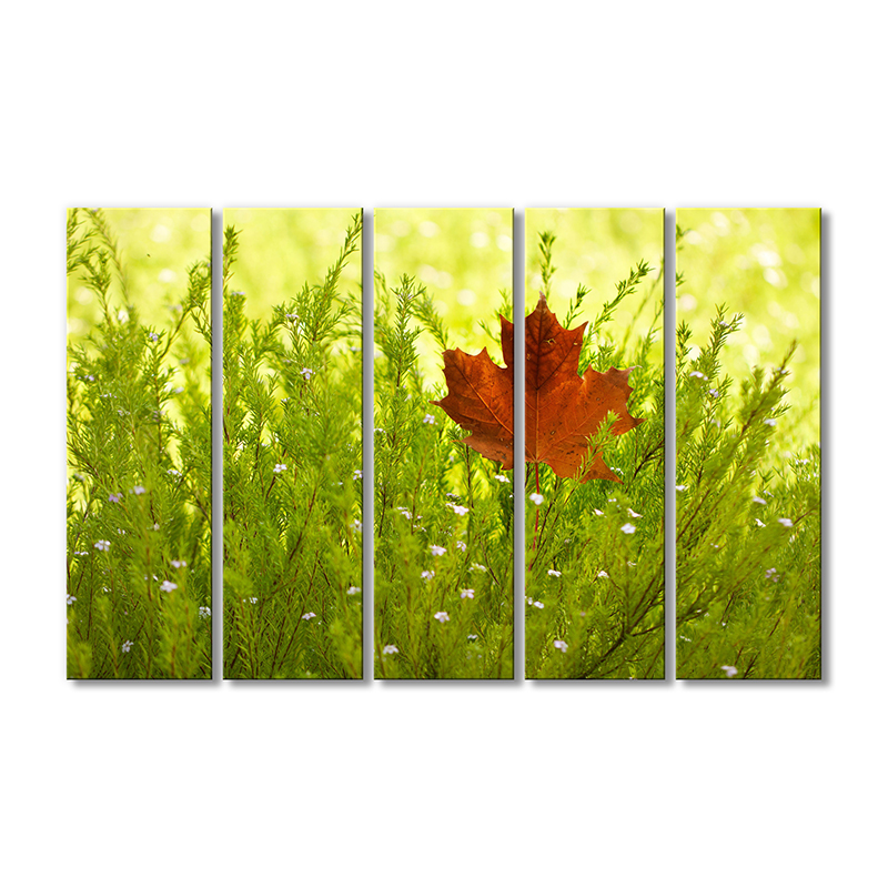 

Модульная картина Artel «Кленовый лист в траве» 5 модулей 90x135 см