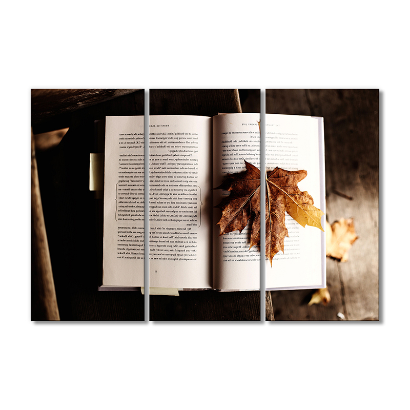 

Модульная картина Artel «Книга с осенним листом» 3 модуля 70x105 см