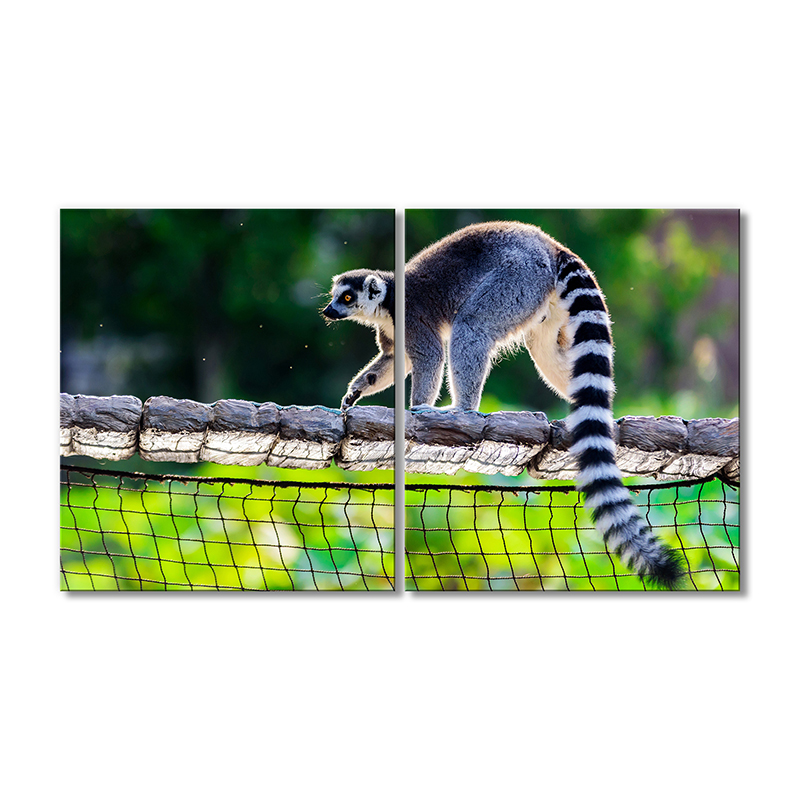 

Модульная картина Artel «Лемур» 2 модуля 70x105 см