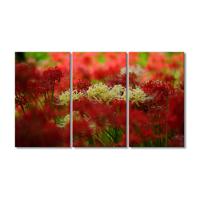 

Модульная картина Artel «Ликорис сияющий красный» 3 модуля 50x75 см