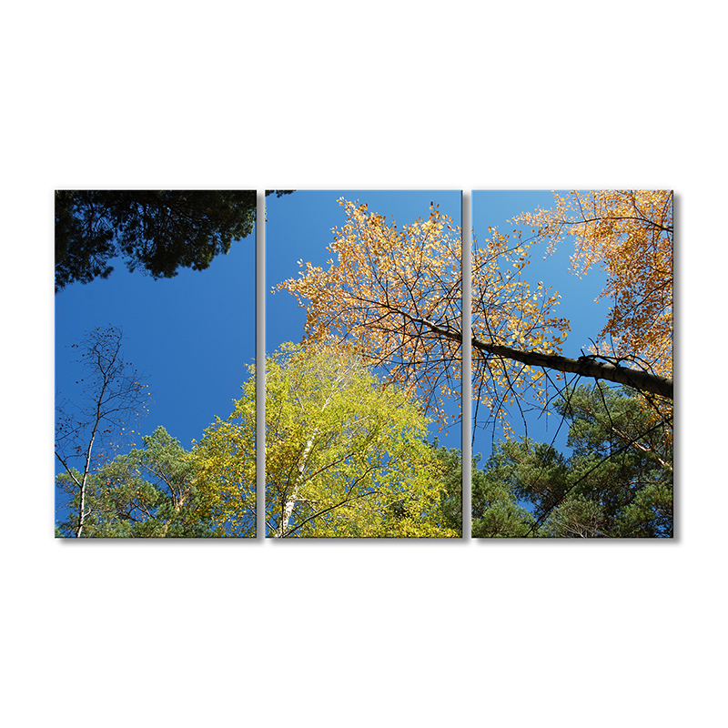 

Модульная картина Artel «Небо и высокие деревья» 3 модуля 60x90 см