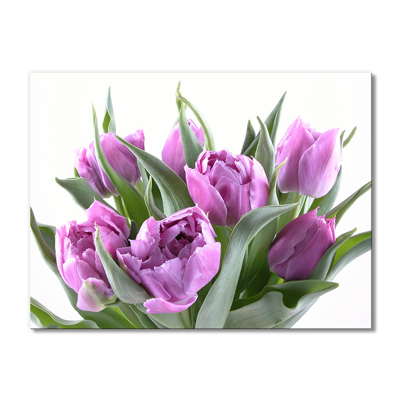 

Модульная картина Artel «Нежный букет сиреневых тюльпанов» 1 модуль 80x120 см