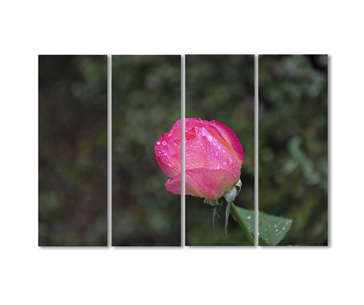 

Модульная картина Artel «Нежный розовый бутон утренняя дымка» 4 модуля 90x135 см