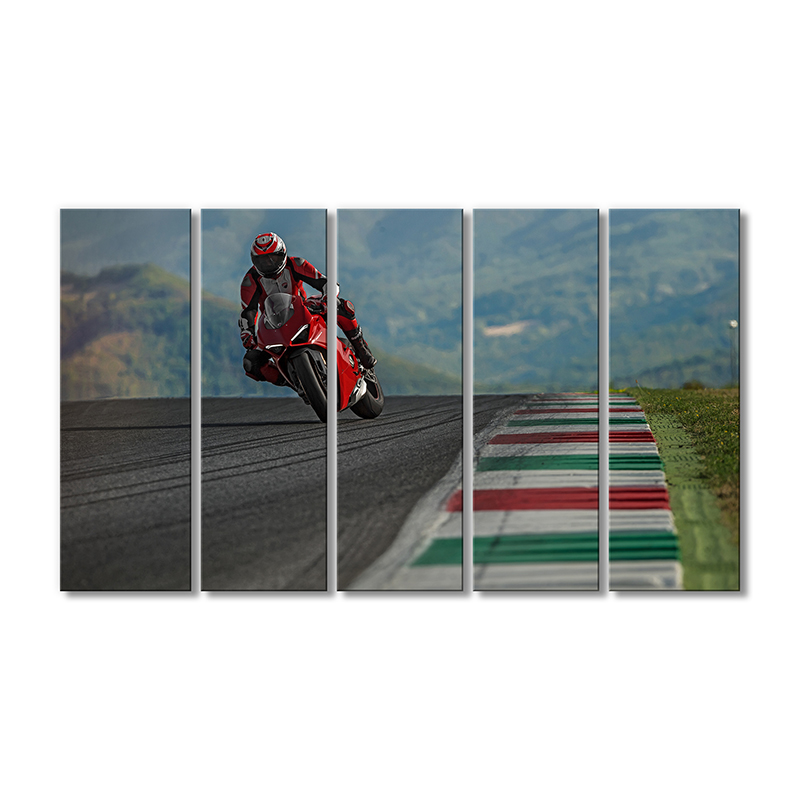 

Модульная картина Artel «Мотоцикл Дукати Панигале V4 S 2018» 5 модулей 70x105 см