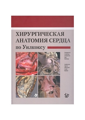 

Андерсон Спайсер Хирургическая анатомия сердца по Уилкоксу 2015 год