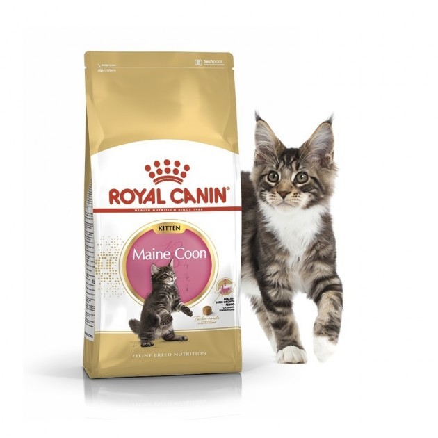 

Сухой корм Royal Canin Maine Coon Kitten для котят породы мейн-кун 2 кг
