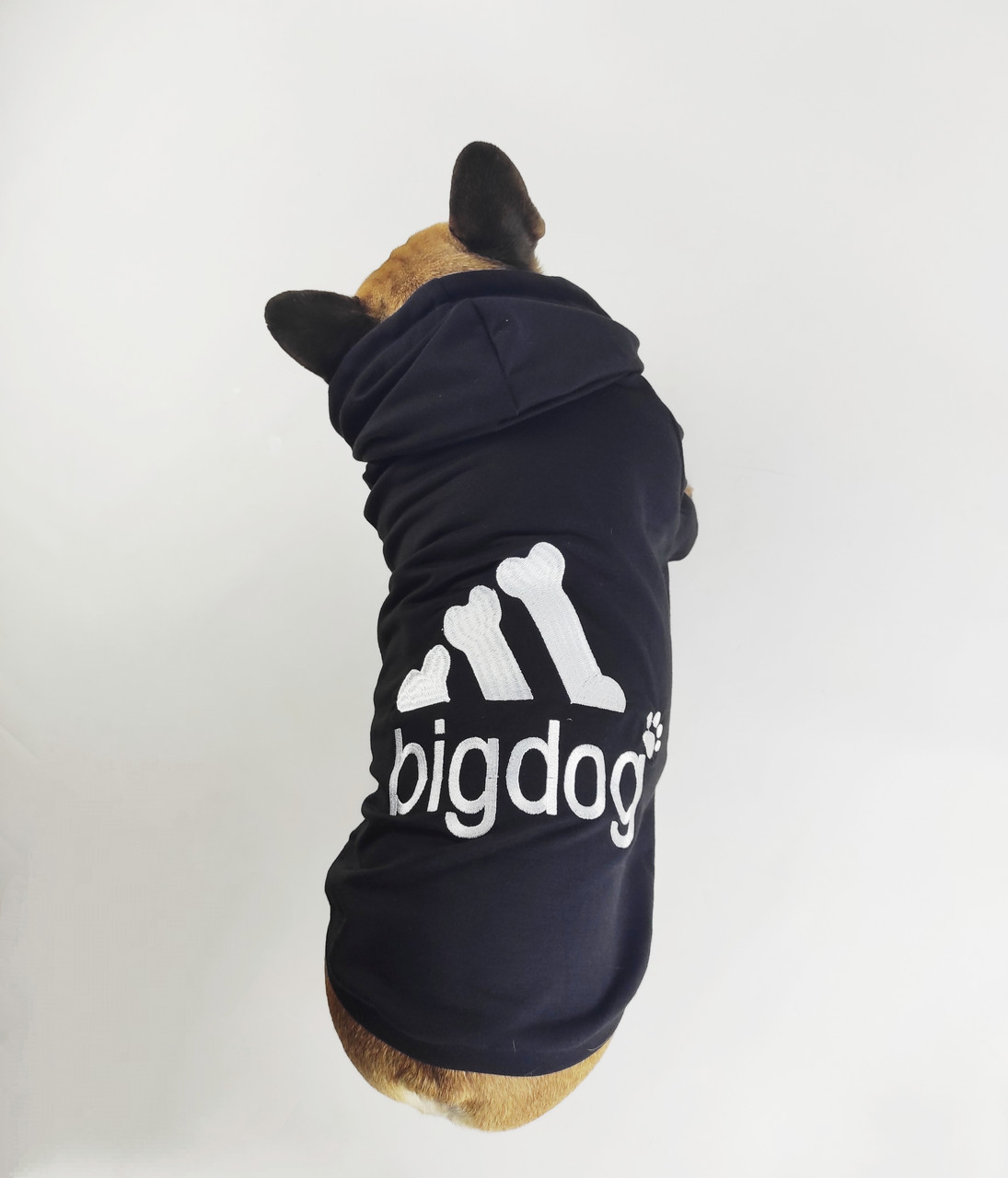 

Худи для собак DogClub Bigdog L